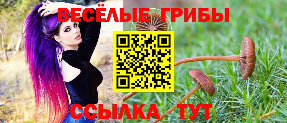 Галлюциногенные грибы прущие грибы  сколько стоит  Псилоцибиновые грибы Psilocybine cubensis  Усть-Джегута  Вход с VPN 
